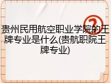 贵州民用航空职业学院的王牌专业是什么(贵航职院王牌专业)