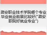 潞安职业技术学院哪个专业毕业就业前景比较好("潞安职院好就业专业")