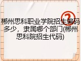 郴州思科职业学院招生编码多少，隶属哪个部门(郴州思科院招生代码)