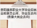 贵阳康养职业大学毕业后就业前景怎么样，毕业生去向(贵康大就业去向)