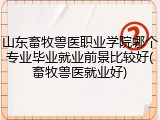 山东畜牧兽医职业学院哪个专业毕业就业前景比较好(畜牧兽医就业好)