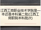 江西工商职业技术学院是一本还是本科第二批(江西工商职院本科批次)