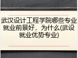 武汉设计工程学院哪些专业就业前景好，为什么(武设就业优势专业)
