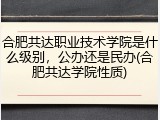 合肥共达职业技术学院是什么级别，公办还是民办(合肥共达学院性质)