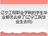 辽宁工程职业学院的学生毕业都怎么样了(辽宁工院毕业生去向)