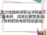 武汉铁路桥梁职业学院能不能考研，成绩在哪里查询(武桥职院考研成绩查询)