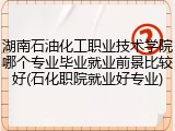 湖南石油化工职业技术学院哪个专业毕业就业前景比较好(石化职院就业好专业)