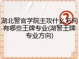 湖北警官学院主攻什么方向有哪些王牌专业(湖警王牌专业方向)