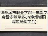 漳州城市职业学院一年奖学金最多能拿多少(漳州城职院最高奖学金)