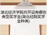湖北经济学院共开设有哪些类型奖学金(湖北经院奖学金种类)