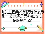 山东工艺美术学院是什么级别，公办还是民办(山东美院级别性质)