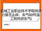盐城工业职业技术学院师资力量怎么样，名气如何(盐工院师资名气)