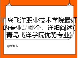 青岛飞洋职业技术学院最好的专业是哪个，详细阐述(青岛飞洋学院优势专业)