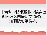 上海科学技术职业学院在读期间怎么申请助学贷款(上海职院助学贷款)