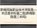 黔南民族职业技术学院是一本还是本科第二批(黔南职院是二本吗)