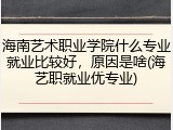 海南艺术职业学院什么专业就业比较好，原因是啥(海艺职就业优专业)
