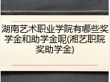 湖南艺术职业学院有哪些奖学金和助学金呢(湘艺职院奖助学金)