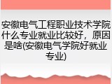 安徽电气工程职业技术学院什么专业就业比较好，原因是啥(安徽电气学院好就业专业)