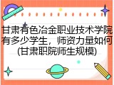 甘肃有色冶金职业技术学院有多少学生，师资力量如何(甘肃职院师生规模)