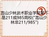 嵩山少林武术职业学院是不是211或985高校("嵩山少林非211/985")