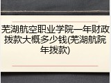 芜湖航空职业学院一年财政拨款大概多少钱(芜湖航院年拨款)