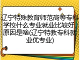 辽宁特殊教育师范高等专科学校什么专业就业比较好，原因是啥(辽宁特教专科就业优专业)