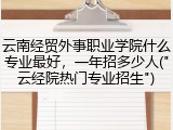 云南经贸外事职业学院什么专业最好，一年招多少人("云经院热门专业招生")