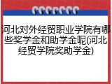 河北对外经贸职业学院有哪些奖学金和助学金呢(河北经贸学院奖助学金)