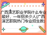 广西演艺职业学院什么专业最好，一年招多少人(广西演艺职院热门专业招生数)