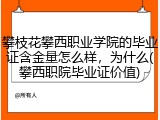 攀枝花攀西职业学院的毕业证含金量怎么样，为什么(攀西职院毕业证价值)