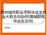 南京城市职业学院毕业生就业大致去向如何(南城职院毕业生去向)