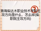 青海柴达木职业技术学院主攻方向是什么，怎么样(柴职院主攻方向)