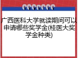 广西医科大学就读期间可以申请哪些奖学金(桂医大奖学金种类)