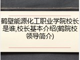 鹤壁能源化工职业学院校长是谁,校长基本介绍(鹤院校领导简介)