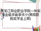 黑龙江商业职业学院一年奖学金最多能拿多少(黑商职院奖学金上限)