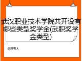 武汉职业技术学院共开设有哪些类型奖学金(武职奖学金类型)