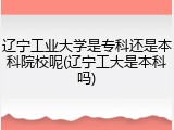 辽宁工业大学是专科还是本科院校呢(辽宁工大是本科吗)
