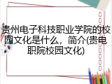 贵州电子科技职业学院的校园文化是什么，简介(贵电职院校园文化)