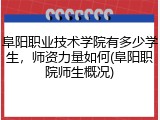 阜阳职业技术学院有多少学生，师资力量如何(阜阳职院师生概况)