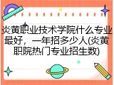 炎黄职业技术学院什么专业最好，一年招多少人(炎黄职院热门专业招生数)
