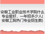 安徽工业职业技术学院什么专业最好，一年招多少人(安徽工院热门专业招生数)
