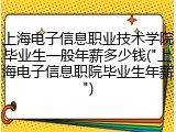 上海电子信息职业技术学院毕业生一般年薪多少钱("上海电子信息职院毕业生年薪")