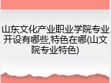 山东文化产业职业学院专业开设有哪些,特色在哪(山文院专业特色)