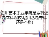 四川艺术职业学院是专科还是本科院校呢(川艺是专科还是本科)