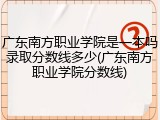 广东南方职业学院是一本吗录取分数线多少(广东南方职业学院分数线)