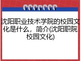 沈阳职业技术学院的校园文化是什么，简介(沈阳职院校园文化)