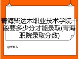青海柴达木职业技术学院一般要多少分才能录取(青海职院录取分数)