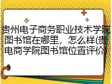 贵州电子商务职业技术学院图书馆在哪里，怎么样(贵电商学院图书馆位置评价)