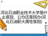河北石油职业技术大学是什么级别，公办还是民办(河北石油职大属性级别)