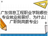 广东信息工程职业学院哪些专业就业前景好，为什么(广职院高薪专业)